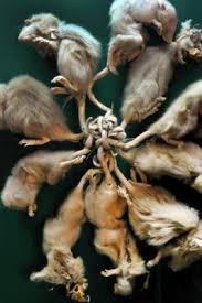 cid:image006.jpg@01D1AD3C.8821E220